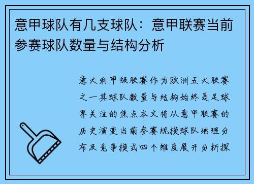 意甲球队有几支球队：意甲联赛当前参赛球队数量与结构分析